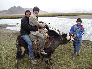 How to Get Dpwn from a Yak